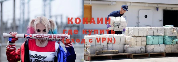 стаф Алексин