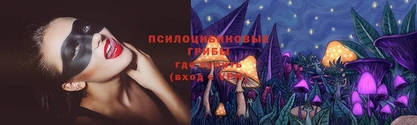 спайс Алзамай