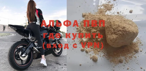 стаф Алексин