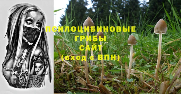 прущие крисы Арсеньев
