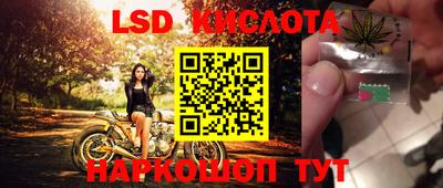 прущие крисы Аргун
