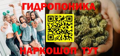 прущие крисы Аргун