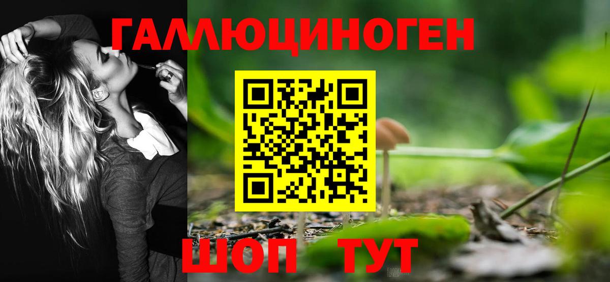 Галлюциногенные грибы MAGIC MUSHROOMS  закладки  Аша  Вход с VPN 