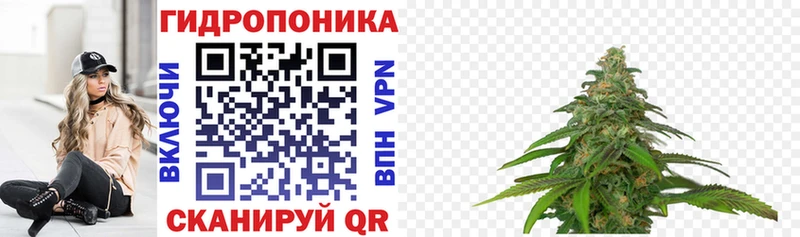 Шишки марихуана VHQ  купить   Аша 